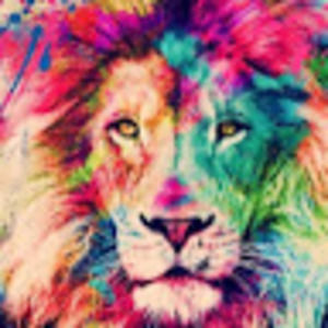 Meet your Posher, Sofia